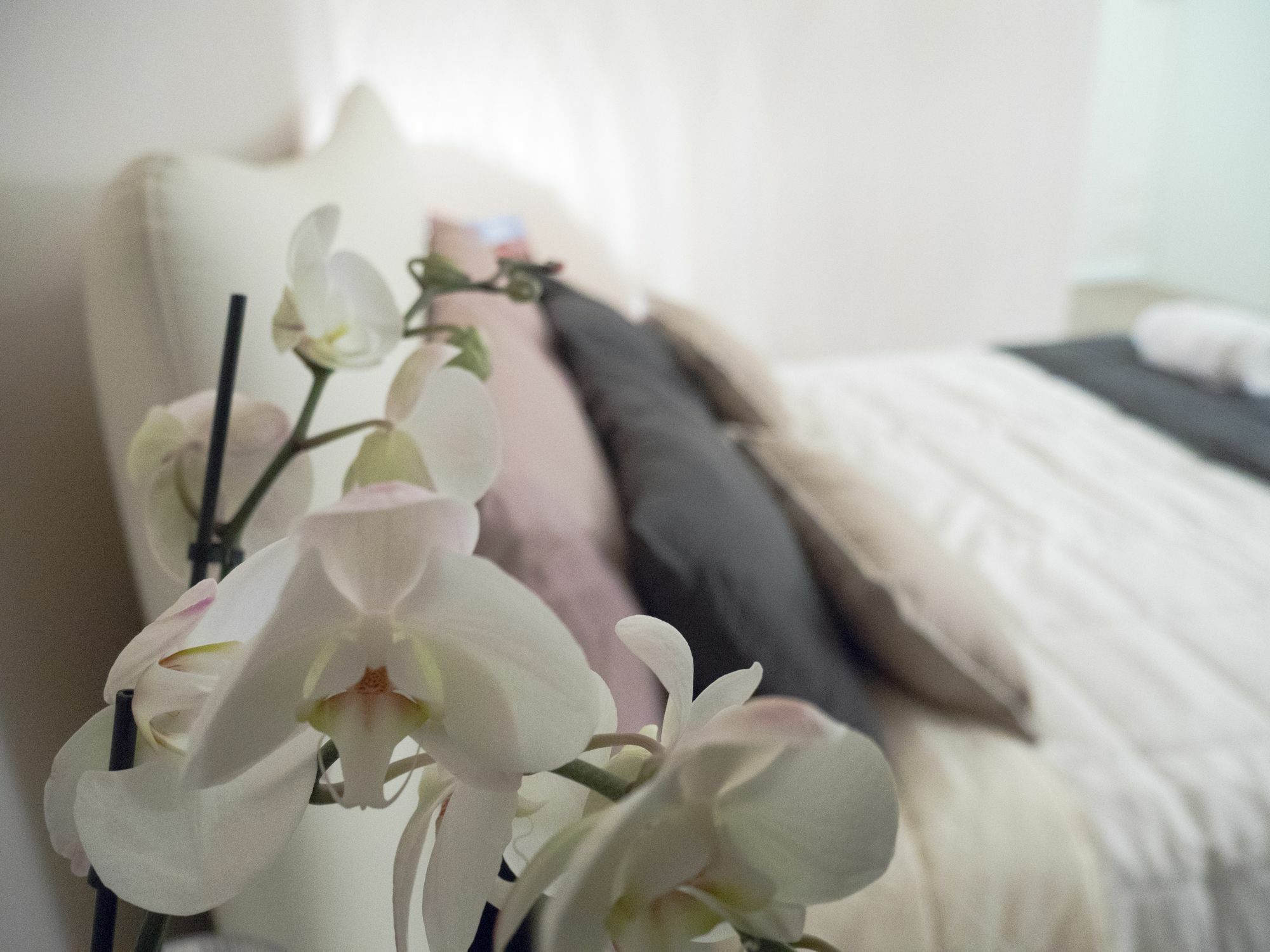 Relais Love Werona Zewnętrze zdjęcie